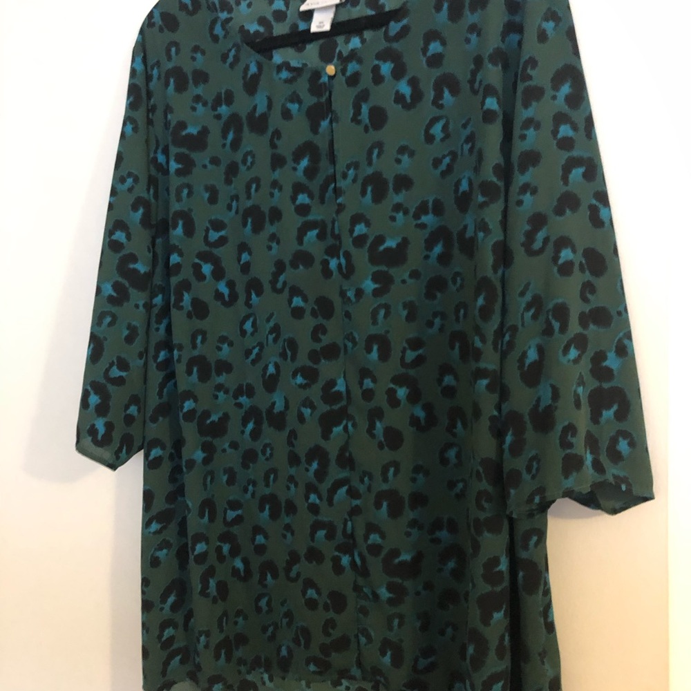 Green and blue blouse